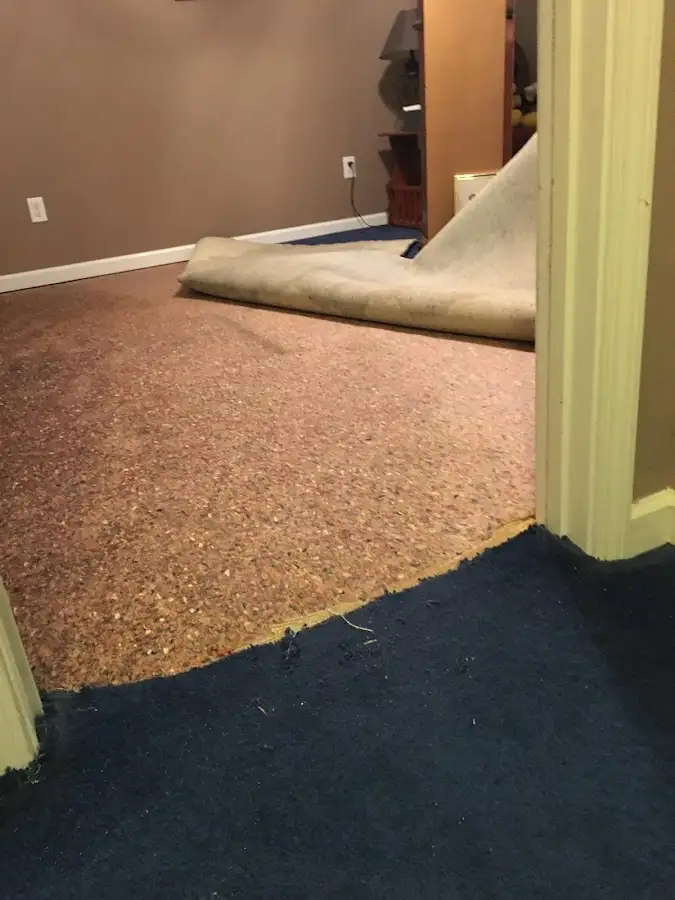 Carpet pad removal revealing water damage during Water Mitigation Services in South Daytona