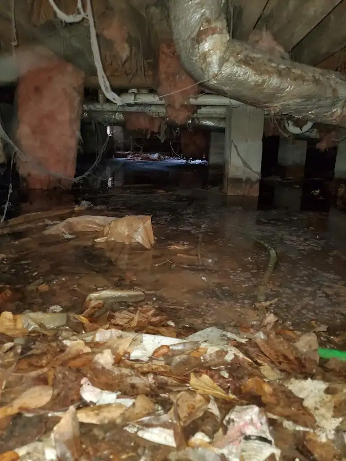 Crawl space flood assessment for Leak Detection & Repair in South Daytona