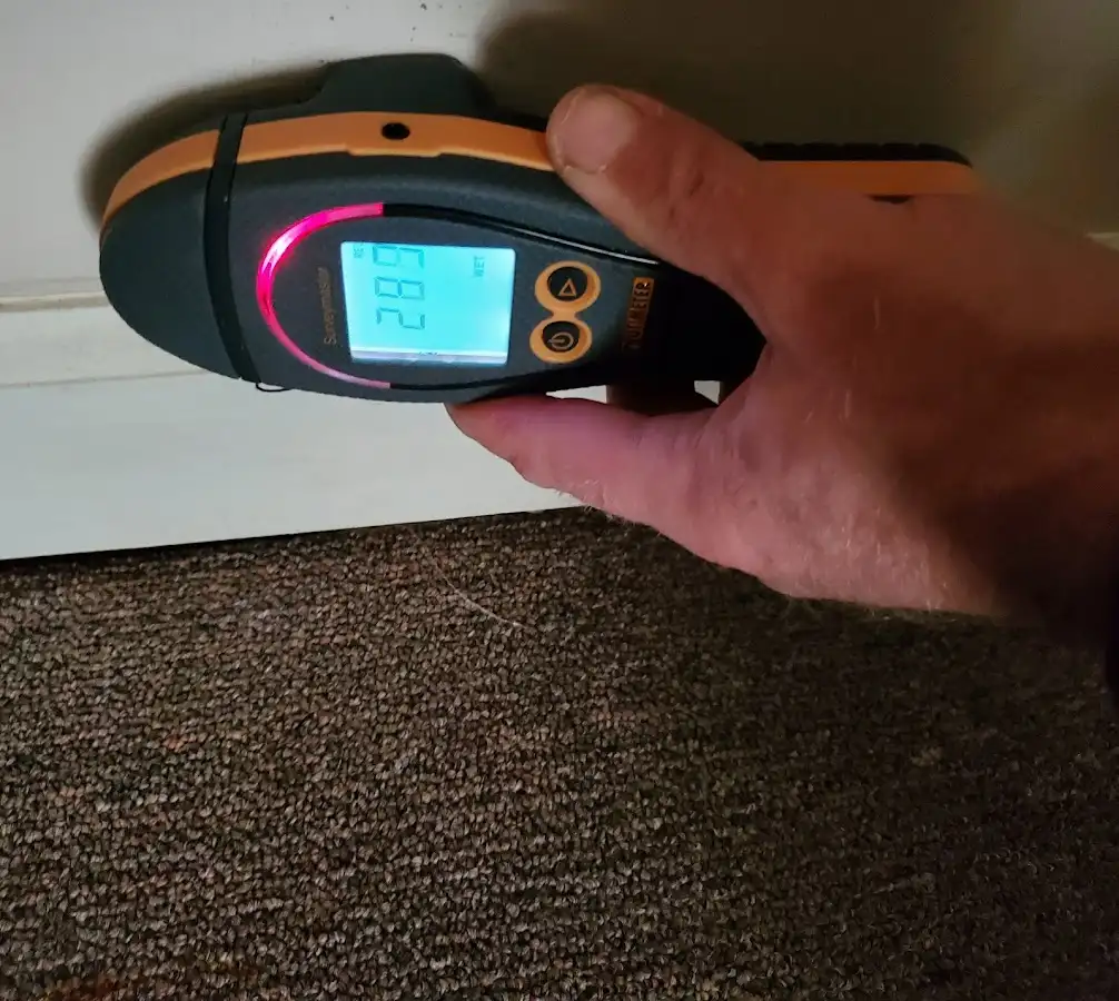 Moisture detection at baseboard during Burst Pipe Cleanup in South Daytona